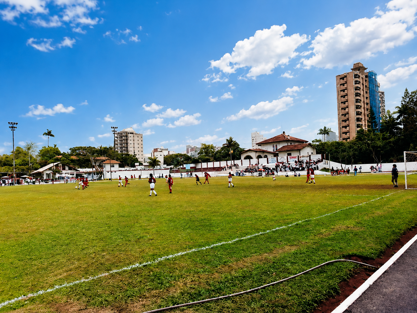 Campo principal